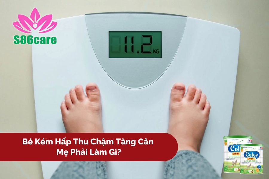 Bé Kém Hấp Thu Chậm Tăng Cân: Mẹ Phải Làm Gì?